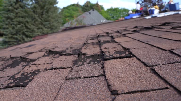 Professional Roofing Service in Bridgeport, MI